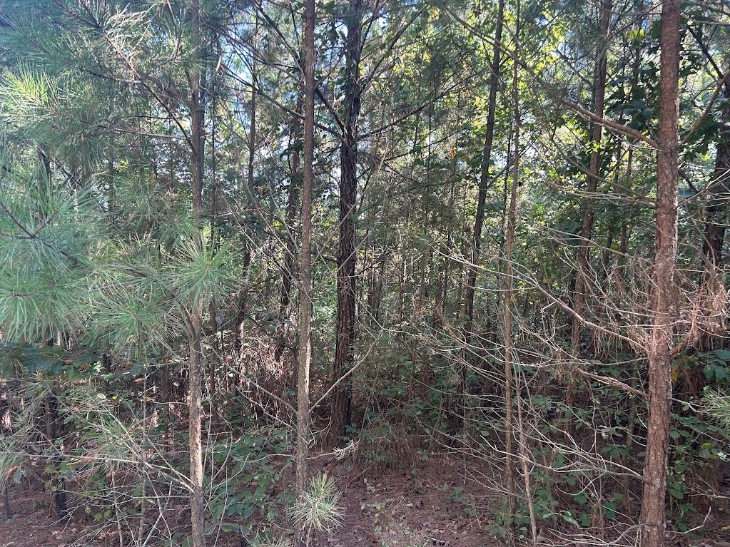 0 Springer Road Whitesburg, GA 30185 - Photo 4 of 12 Gallery Image 4