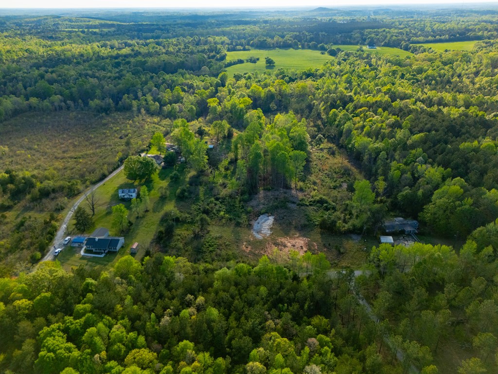 0 Bramlett Road Laurens, SC 29360 - Photo 16 of 19