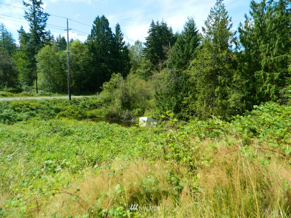 15925 Three Lakes Road Snohomish, WA 98290 - Photo 18 of 22