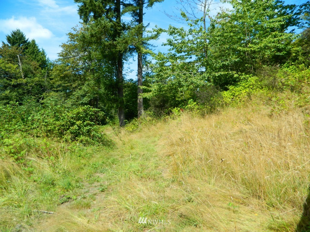 15925 Three Lakes Road Snohomish, WA 98290 - Photo 19 of 22