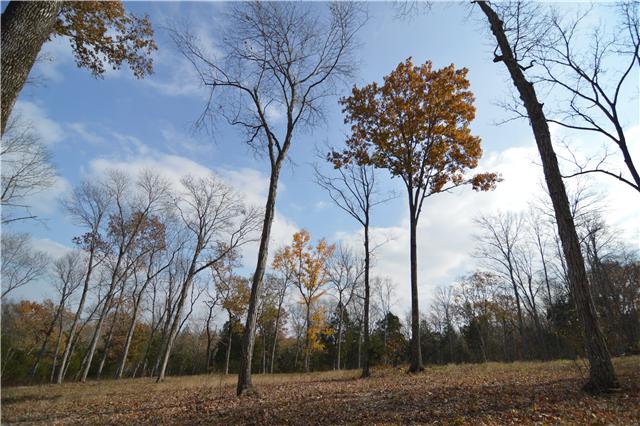 5964 Shores Road Murfreesboro, TN 37128 - Photo 1 of 20 Another beautiful view toward Murfreesboro; Seller offering to finance with $10,000 down for 5 years at 6% interest.