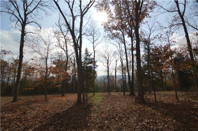 5964 Shores Road Murfreesboro, TN 37128 - Photo 2 of 20 Incredible views from up here!