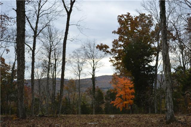 5964 Shores Road Murfreesboro, TN 37128 - Photo 3 of 20 Million Dollar view from the top of the hill