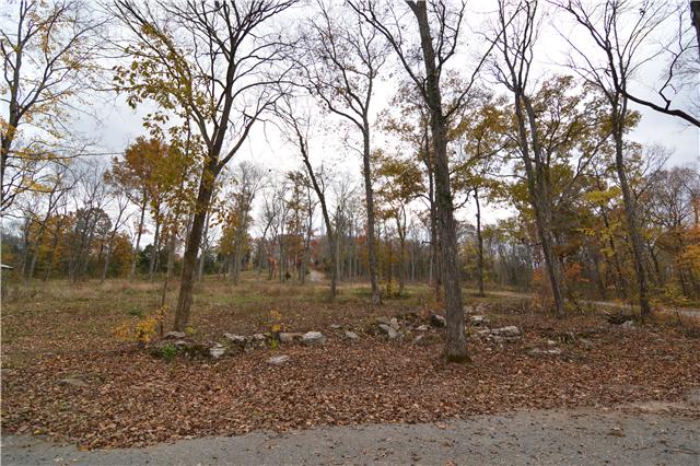 5964 Shores Road Murfreesboro, TN 37128 - Photo 6 of 20 Beautiful view from this cleared area behind the cell tower too