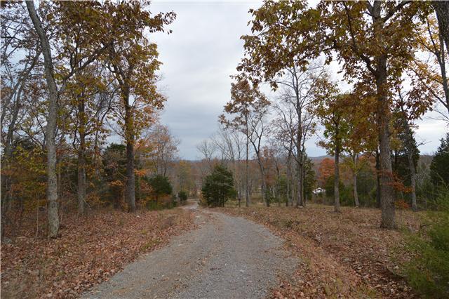5964 Shores Road Murfreesboro, TN 37128 - Photo 7 of 20 View down the driveway