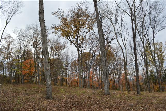 5964 Shores Road Murfreesboro, TN 37128 - Photo 9 of 20 Many mature trees remain offering lots of fall colors