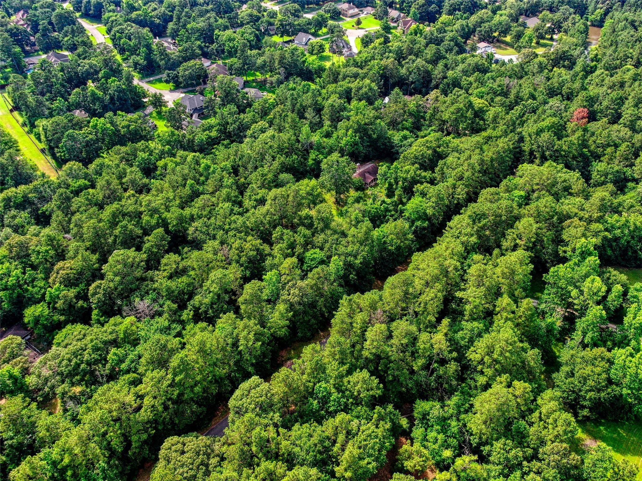 0 Gable Circle Magnolia, TX 77354 - Photo 2 of 10 a view of a lush green forest with lots of trees
