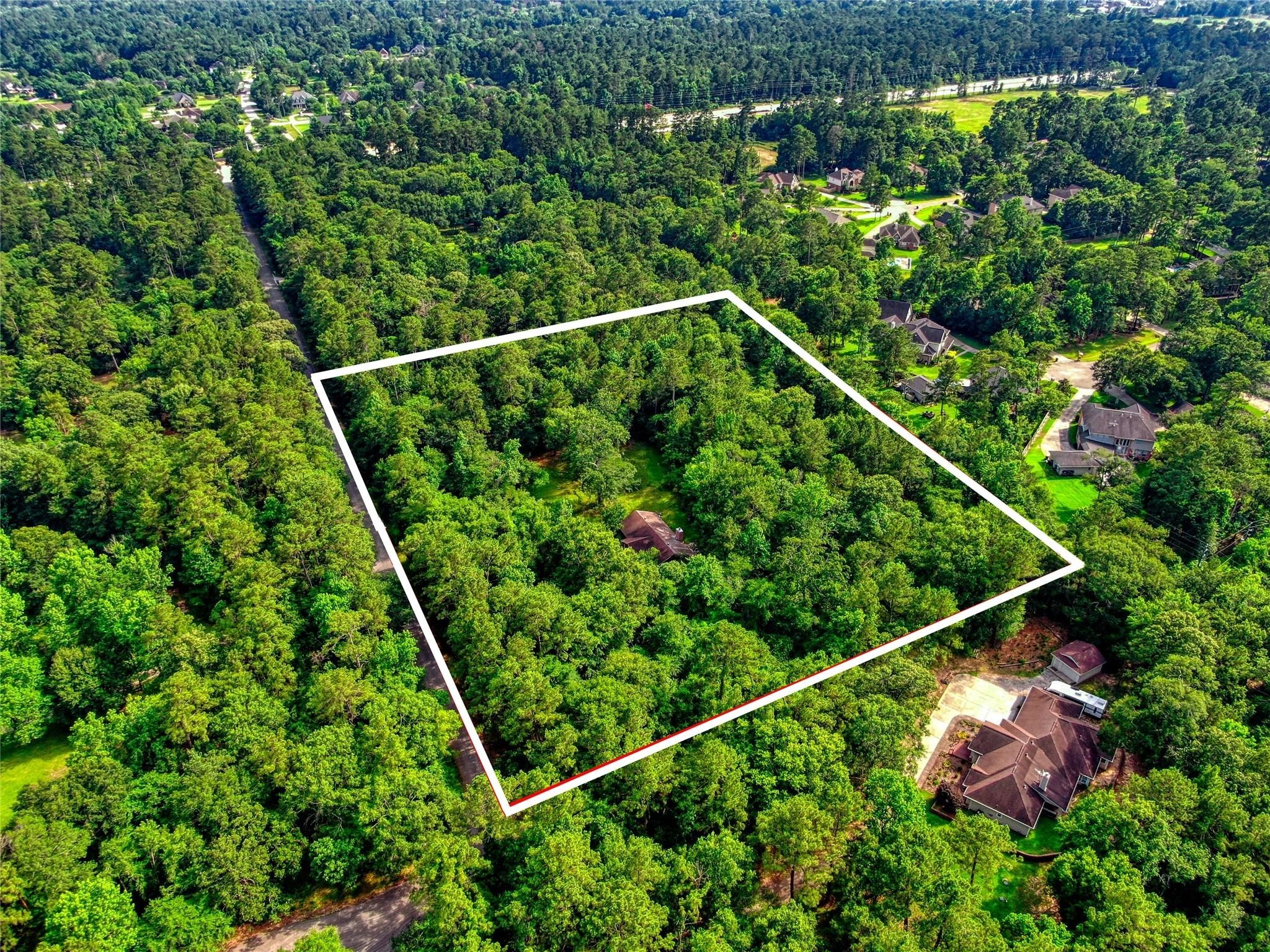 0 Gable Circle Magnolia, TX 77354 - Photo 3 of 10 a view of a forest