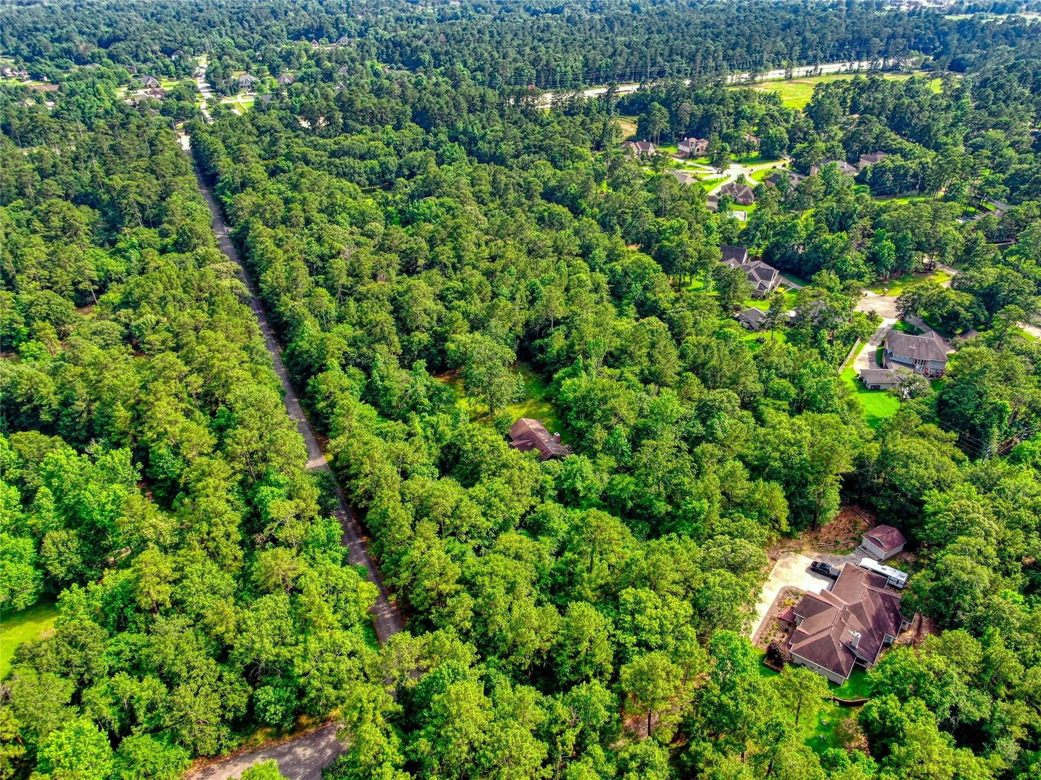 0 Gable Circle Magnolia, TX 77354 - Photo 4 of 10 a view of a lush green forest