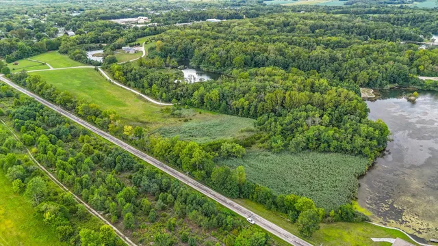 a view of a green field with lots of bushes