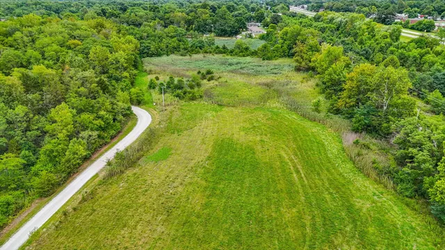 a view of a yard with plants and large trees