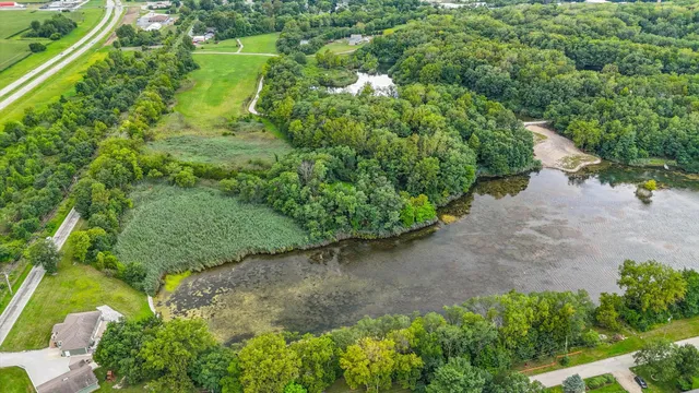 a view of a garden with a plants and trees