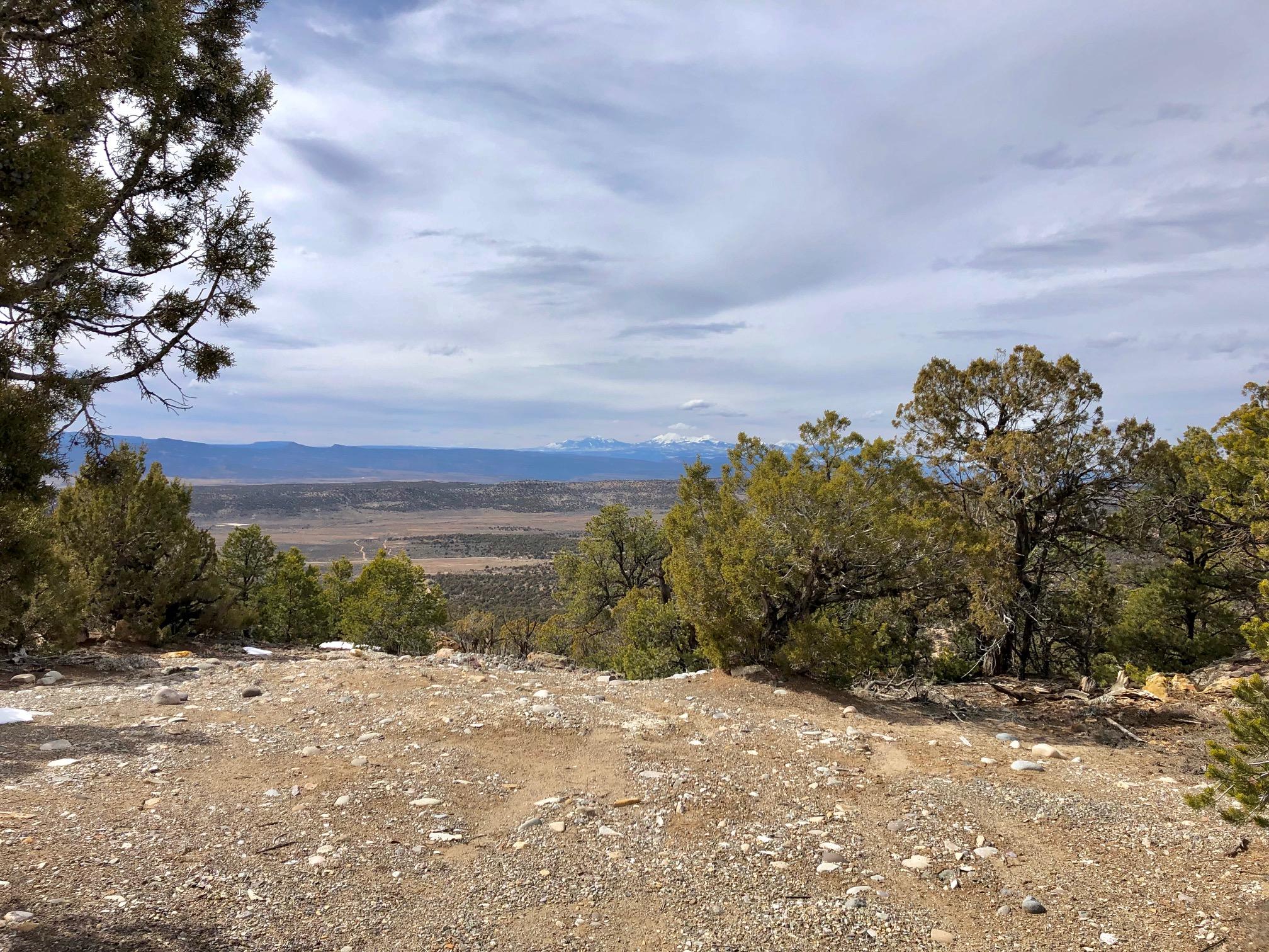29050 30.90 Road Nucla, CO 81424 - Photo 16 of 25 a view of a yard with plants and trees