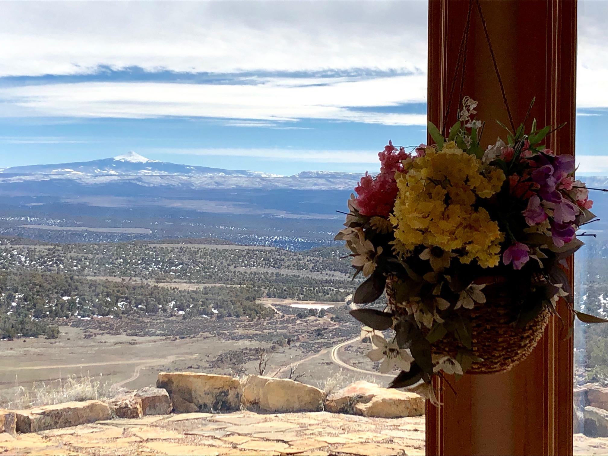 29050 30.90 Road Nucla, CO 81424 - Photo 21 of 25 a view of a interior of the ocean