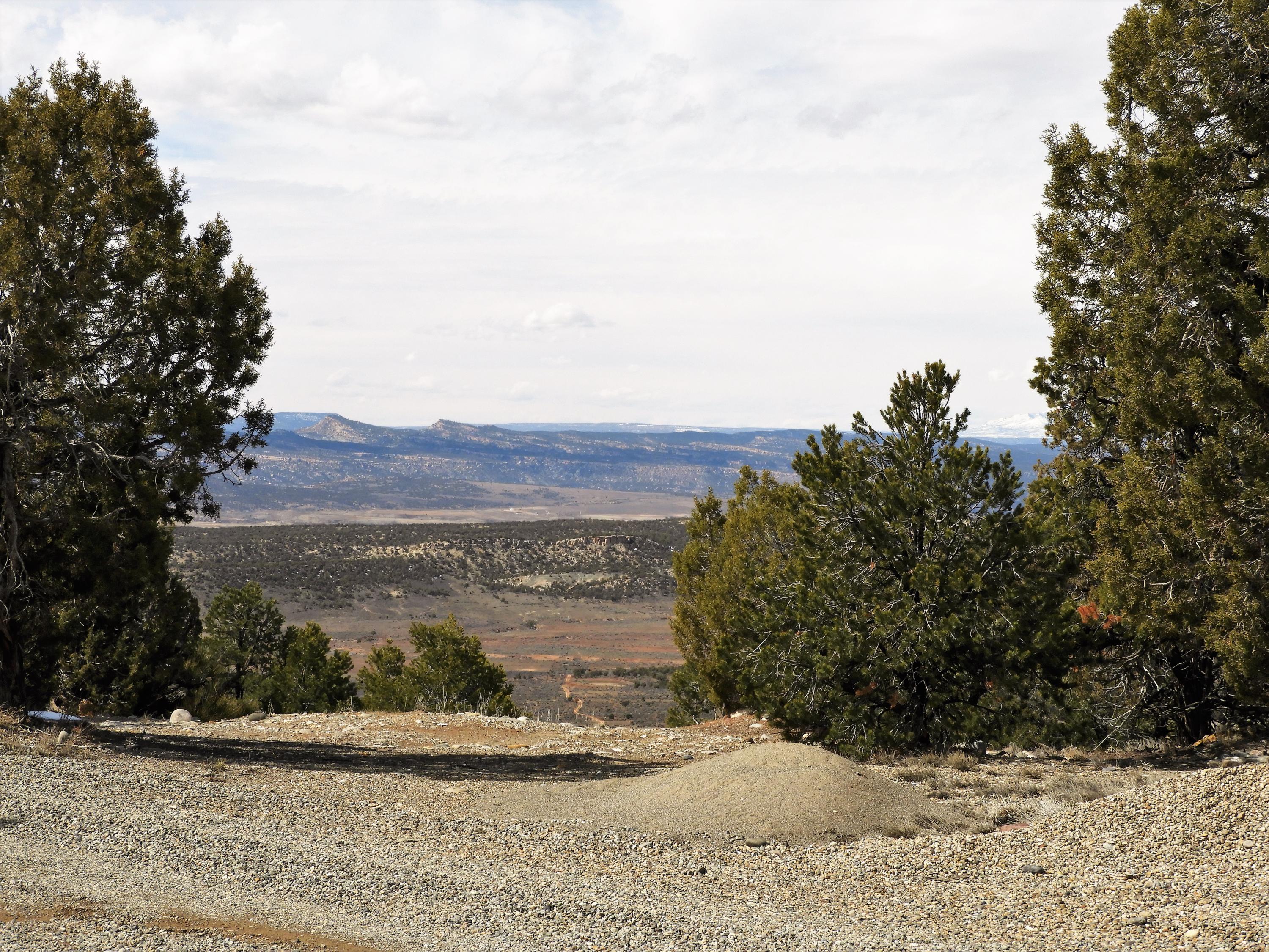 29050 30.90 Road Nucla, CO 81424 - Photo 4 of 25 a view of a yard with an outdoor space
