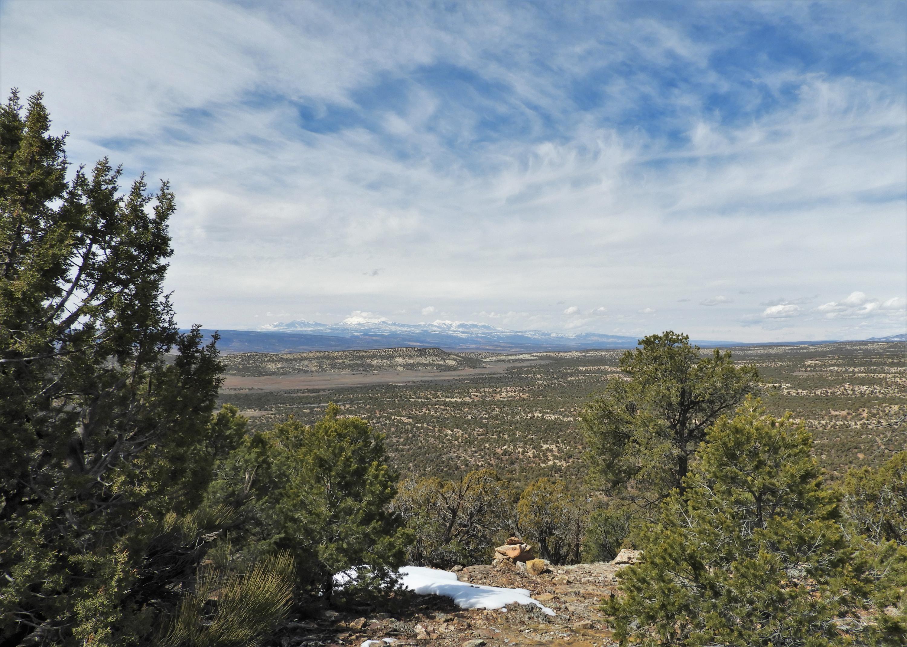 29050 30.90 Road Nucla, CO 81424 - Photo 5 of 25