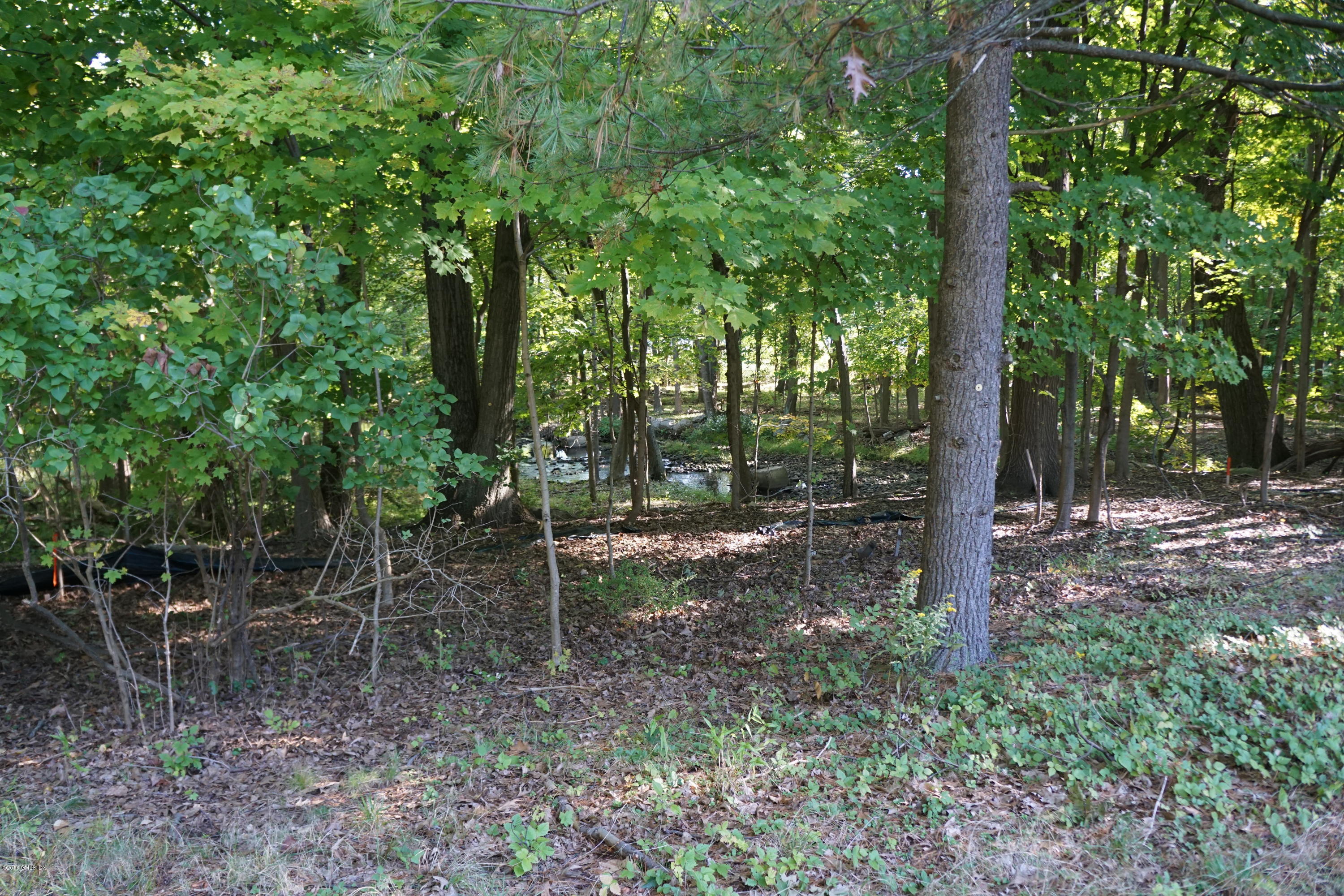 Lot 4 Stillwater Road Stamford, CT 06902 - Photo 3 of 3 a view of a forest filled with trees