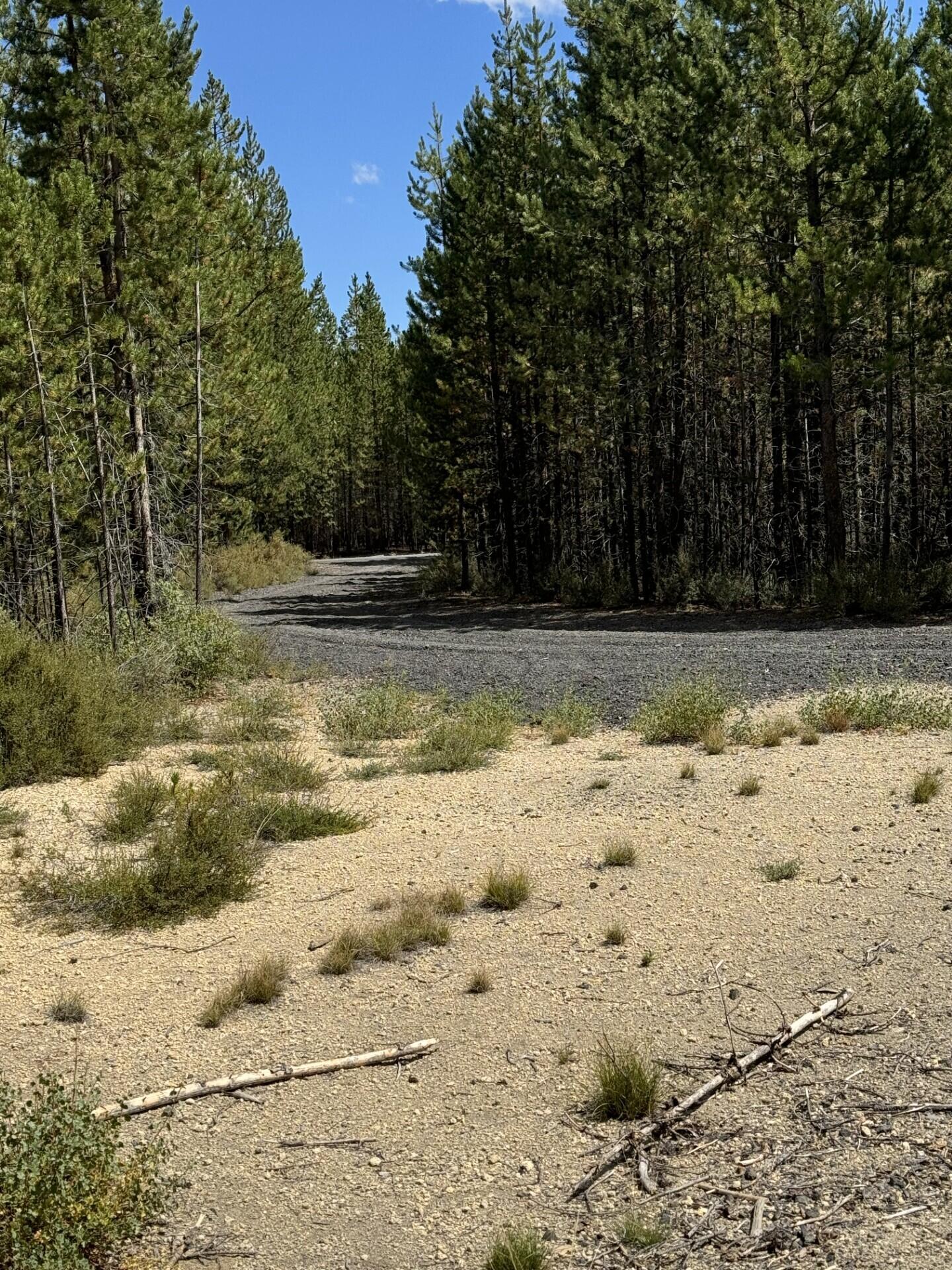Bunny Butte Rd Crescent Lake, Unit 10 Crescent Lake, OR 97733 - Photo 1 of 4 circular Driveway