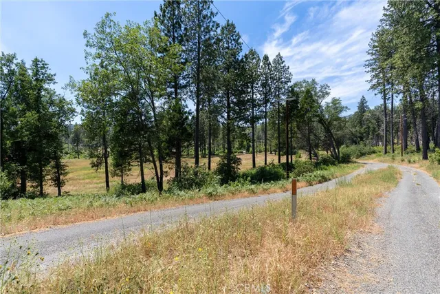 a street view with yard