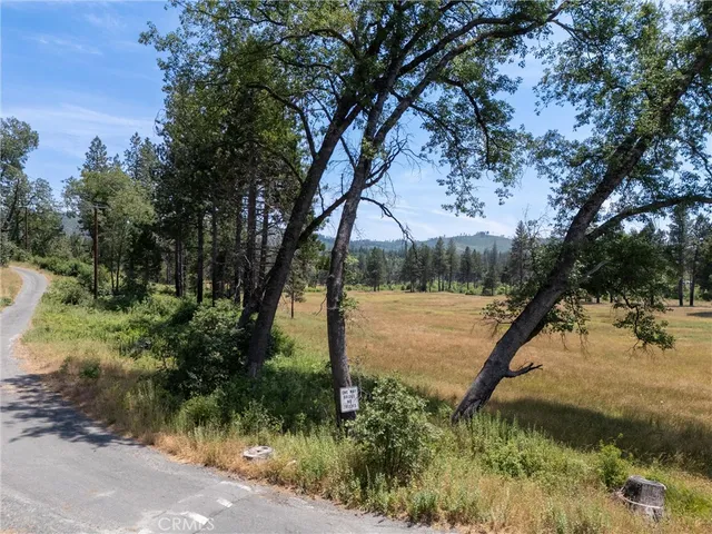 a view of a yard with a tree in the background