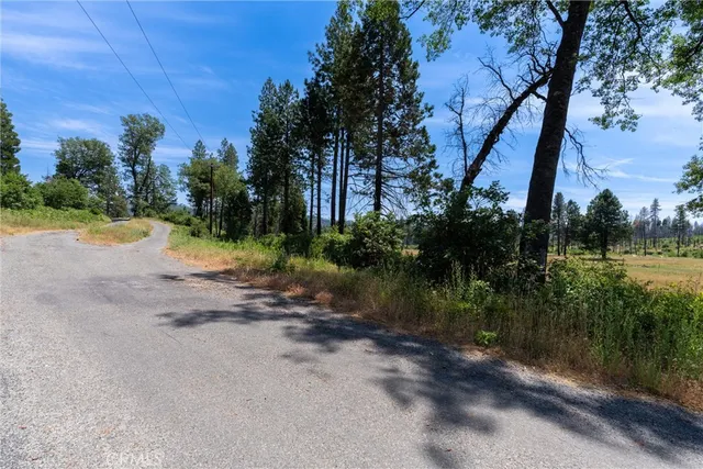 a view of swimming pool with a yard