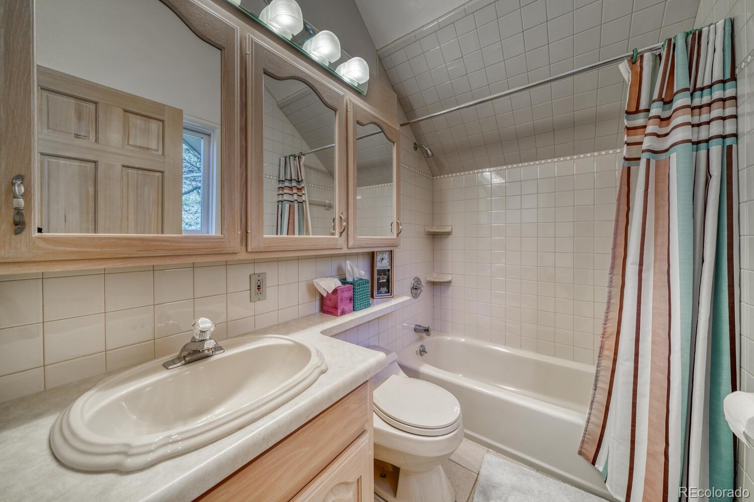 165 Reva Ridge Road Twin Lakes, CO 81251 - Photo 17 of 48 a bathroom with a sink a toilet and a bathtub