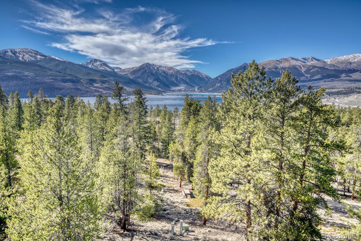 165 Reva Ridge Road Twin Lakes, CO 81251 - Photo 39 of 48 a view of a backyard with a garden