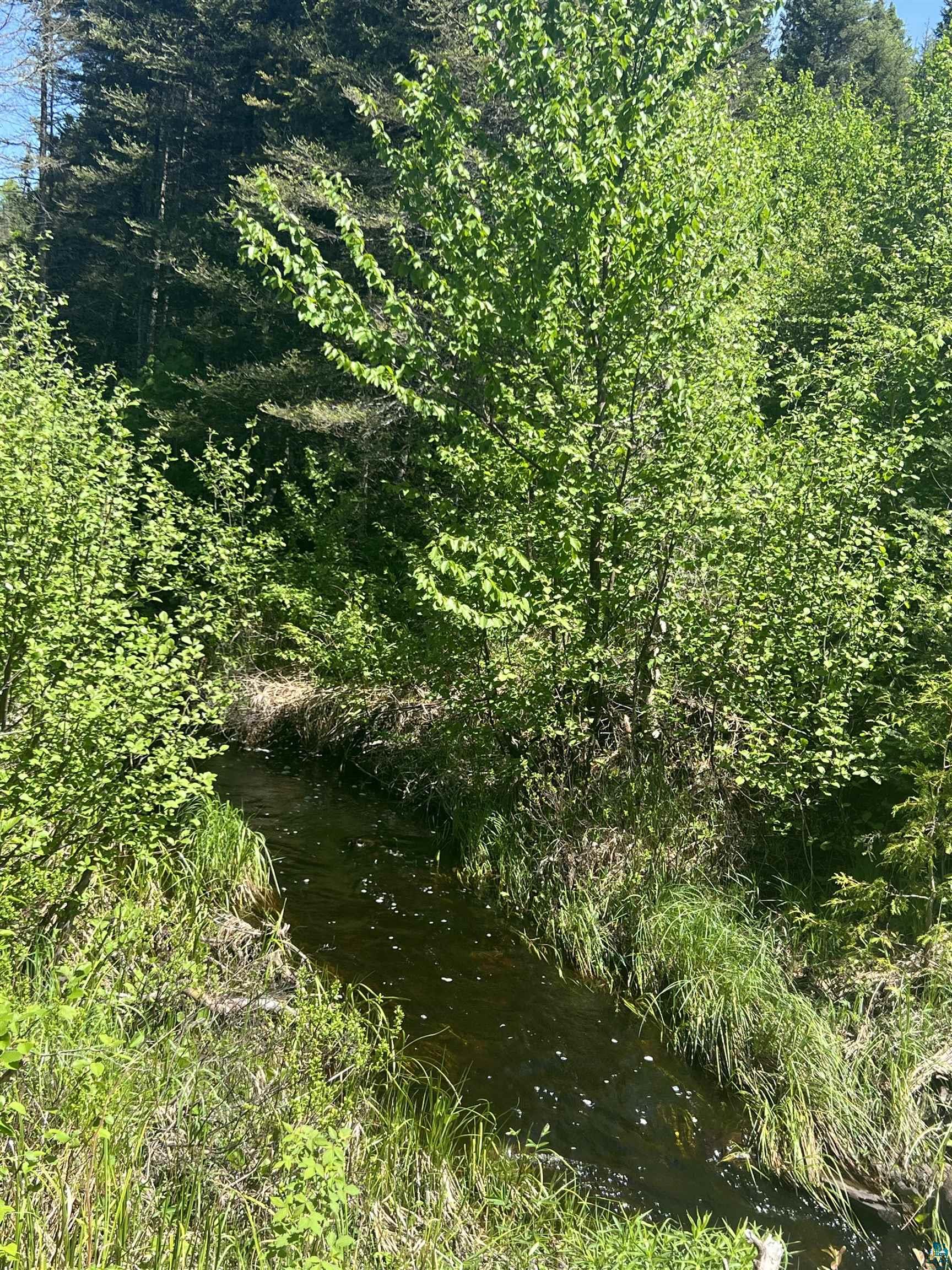 Xxx5 Hefflefinger Road Silver Bay, MN 55614 - Photo 2 of 3