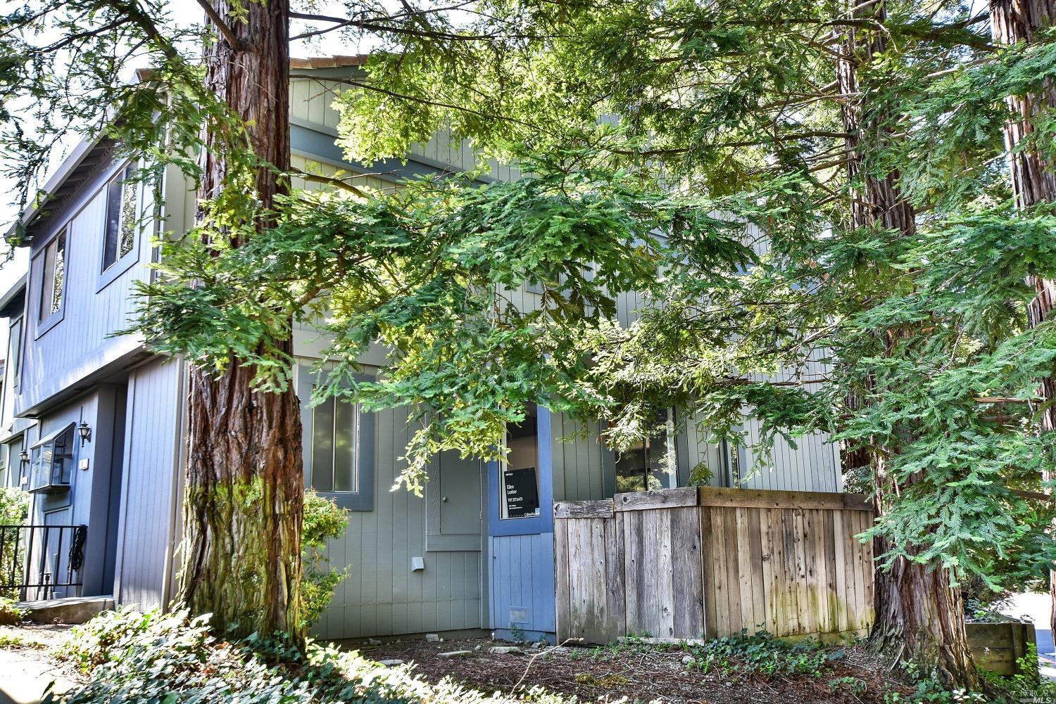 2 Aronia Lane Novato, CA 94945 - Photo 1 of 1 front view of a house with a tree