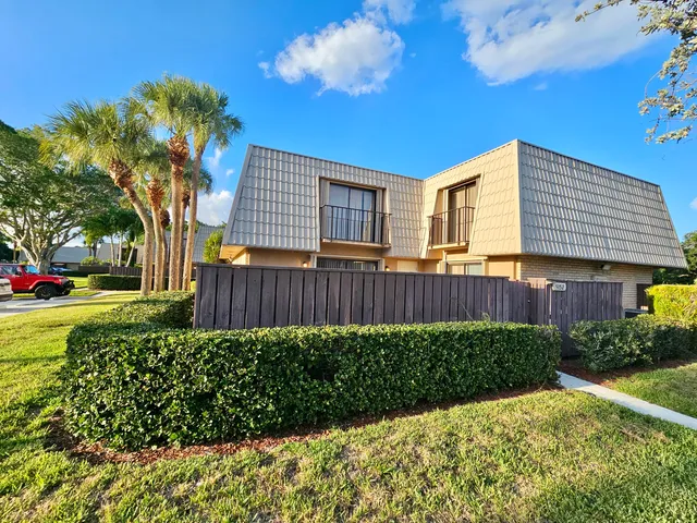 a view of a backyard with plants and large trees