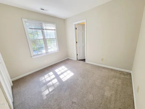 a view of a yard with plants and large trees