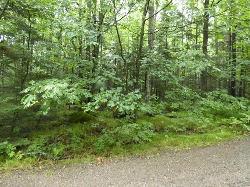 Lot 12 Winding Way Rhinelander, WI 54501 - Photo 5 of 7 Gallery Image 5