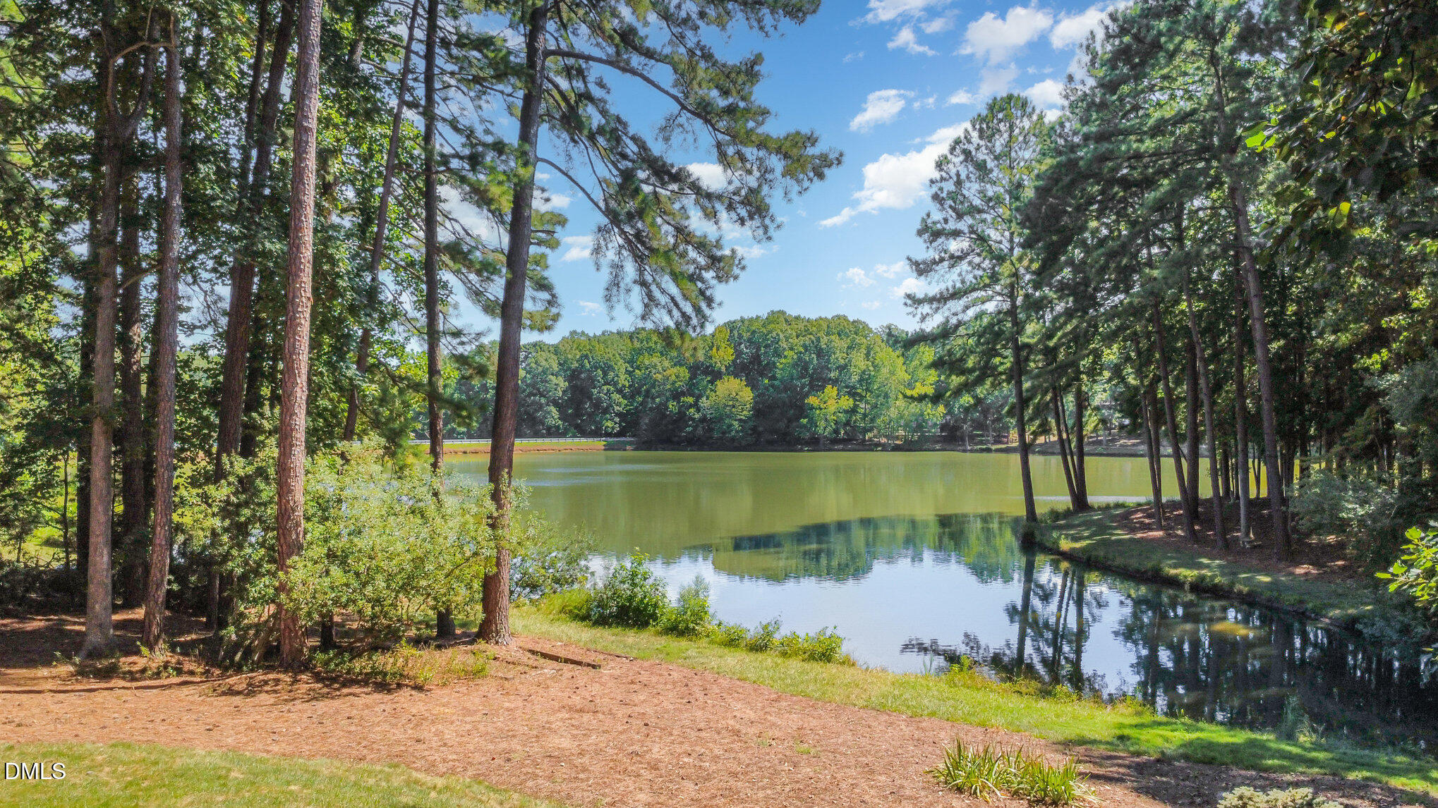 11817 Edgewater Court Raleigh, NC 27614 - Photo 45 of 46 014_dji_fly_20250903_144836_767_17569253