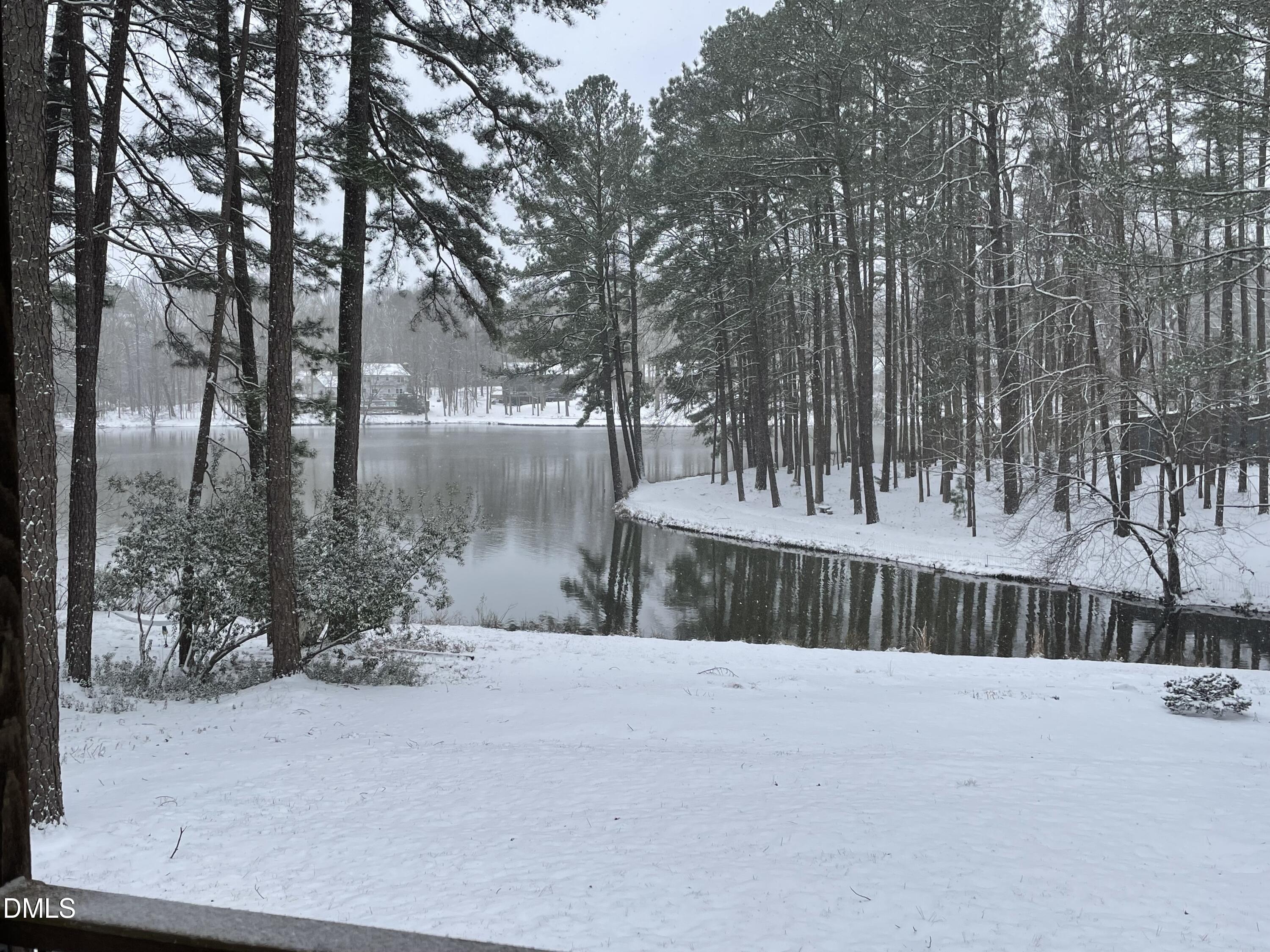 11817 Edgewater Court Raleigh, NC 27614 - Photo 5 of 46 Winter 11817