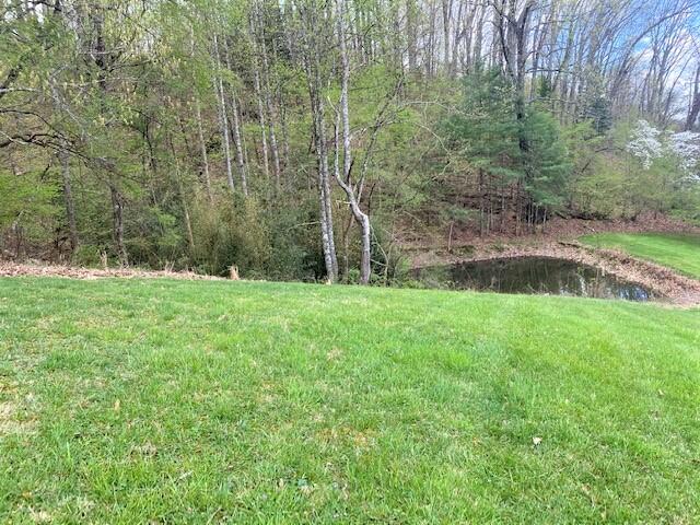 308 Fairway Drive Abingdon, VA 24211 - Photo 31 of 41 fairway pond