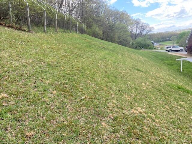 308 Fairway Drive Abingdon, VA 24211 - Photo 33 of 41 fairway side yard