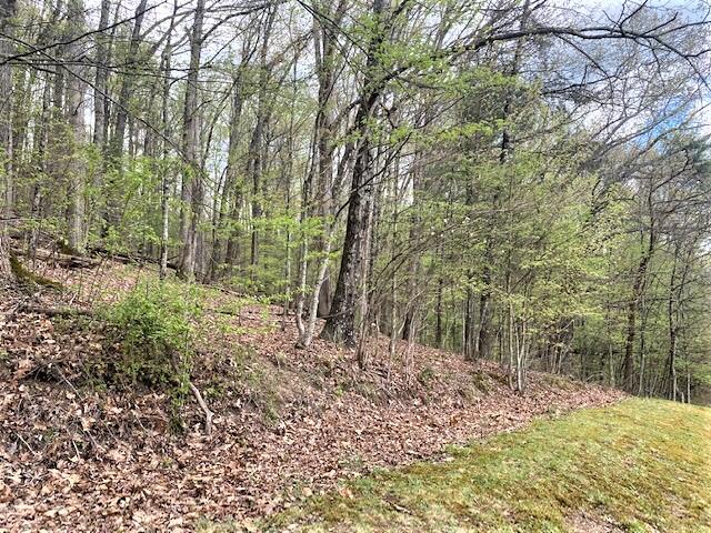 308 Fairway Drive Abingdon, VA 24211 - Photo 35 of 41 fairway trees