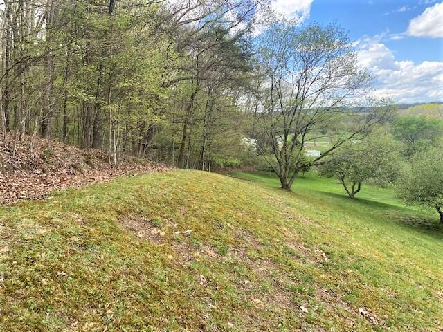 308 Fairway Drive Abingdon, VA 24211 - Photo 38 of 41 fairway yard