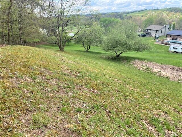 308 Fairway Drive Abingdon, VA 24211 - Photo 39 of 41 fairway yard2