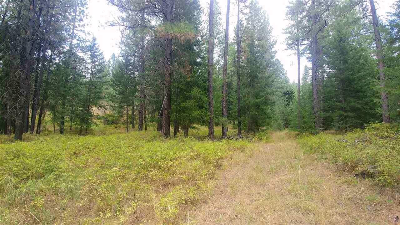 Nna East Lindgren Road Spokane, WA 99217 - Photo 2 of 6