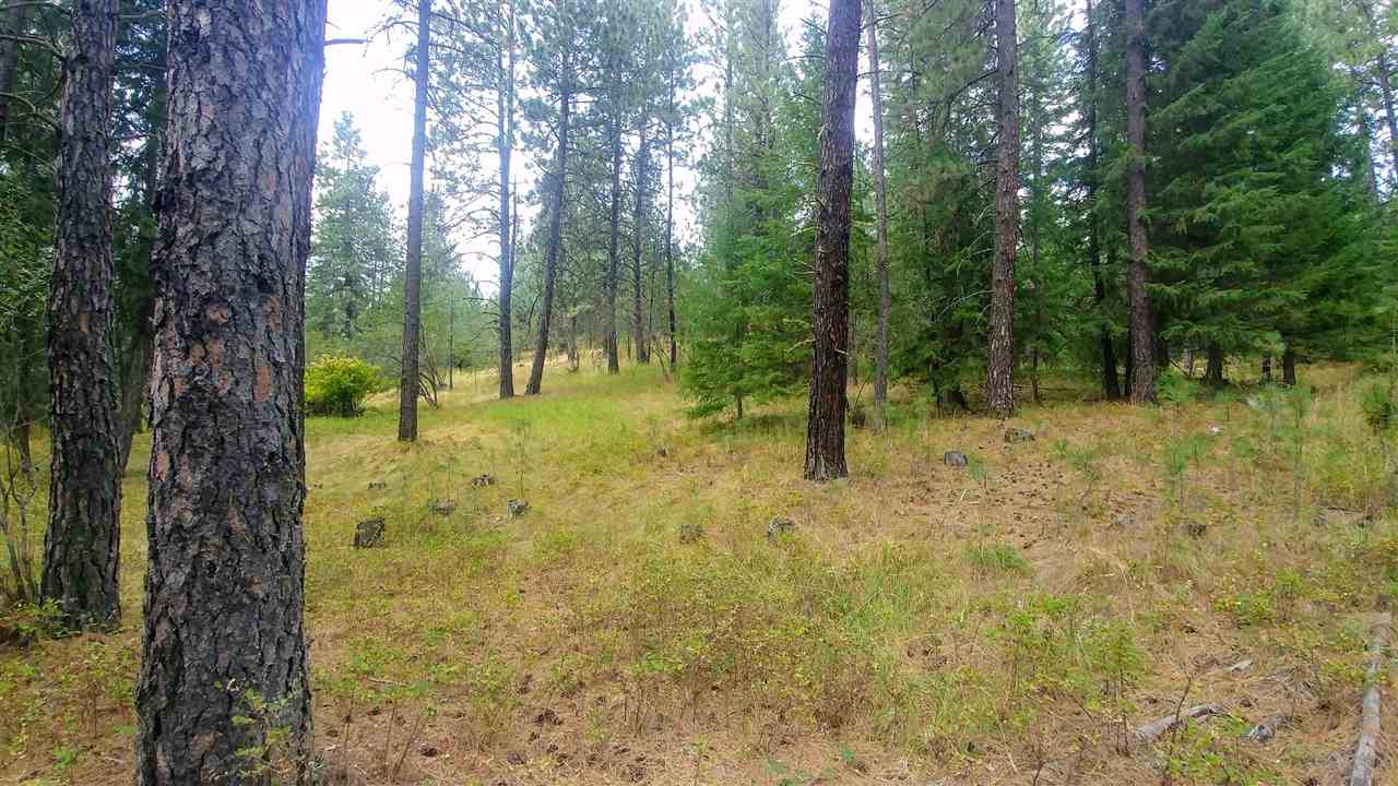 Nna East Lindgren Road Spokane, WA 99217 - Photo 3 of 6
