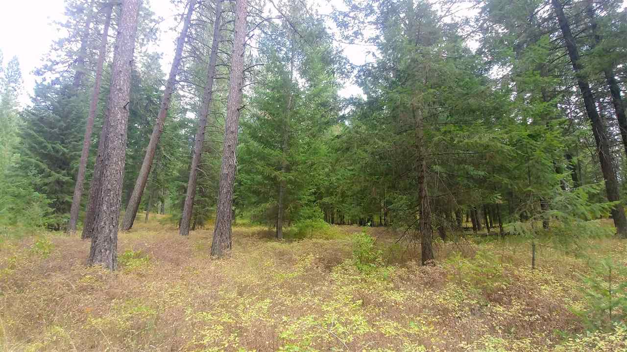 Nna East Lindgren Road Spokane, WA 99217 - Photo 4 of 6