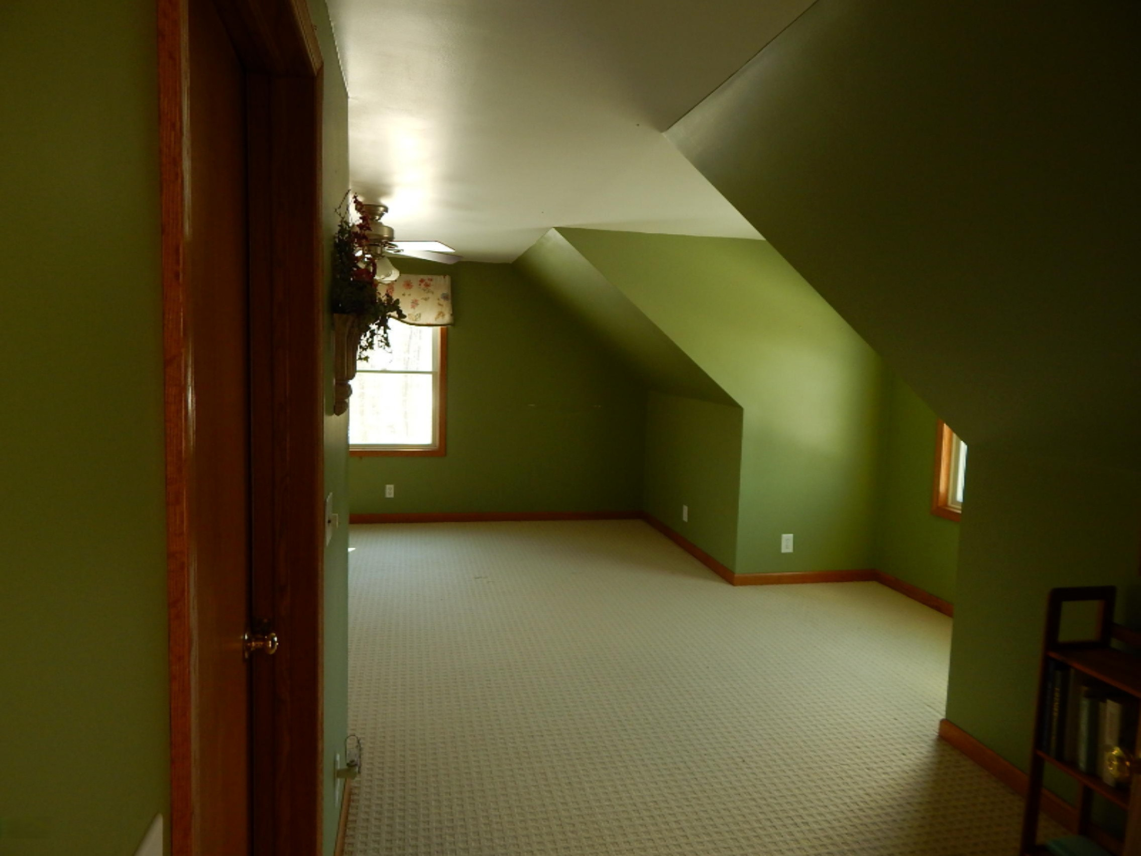 18576 St Pierre Road Arcadia, MI 49613 - Photo 54 of 68 DSCN6497