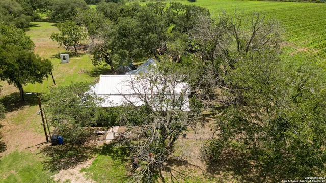 a view of a yard with plants
