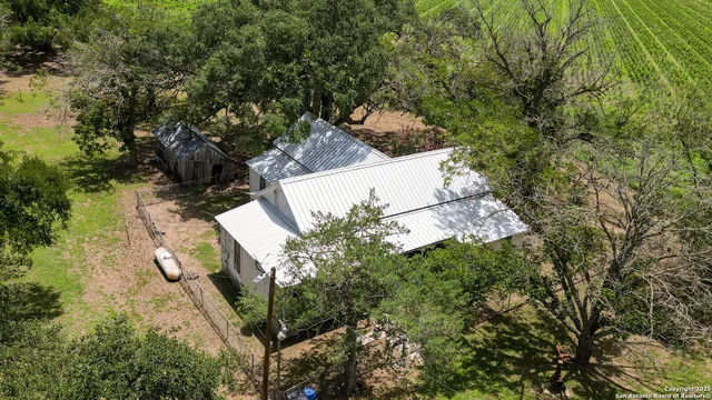 a view of yard with large trees and flower in it