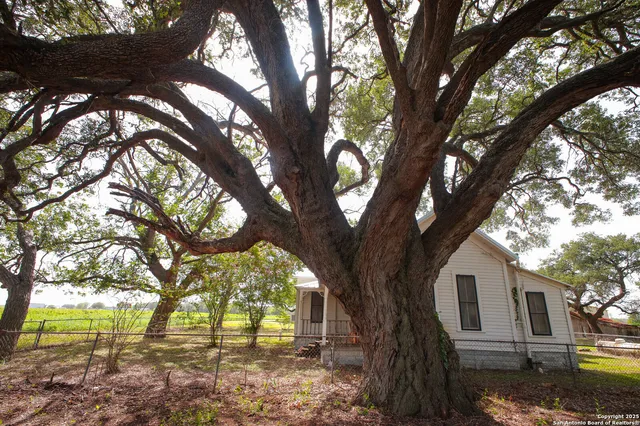 a view of backyard with outdoor and green space