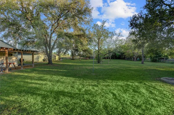 a view of a park with large trees