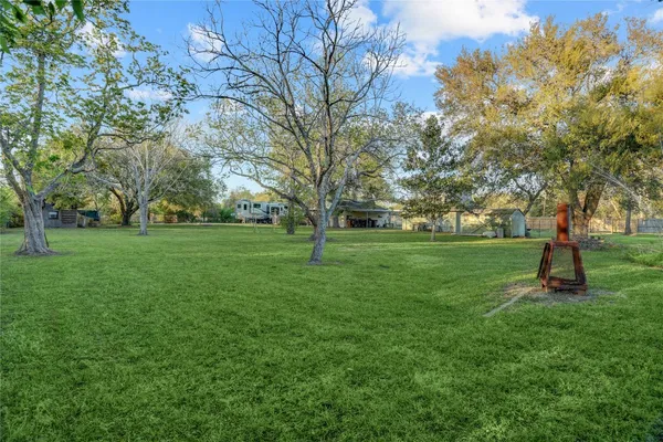 a view of a trees with a park
