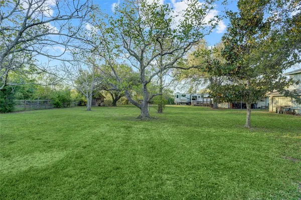 a view of a park with trees