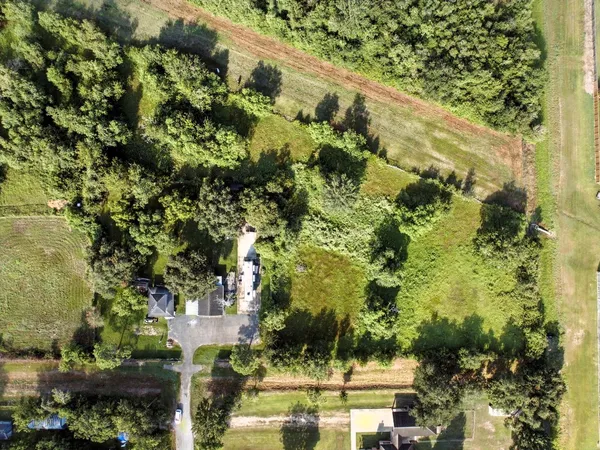 a view of outdoor space with large trees